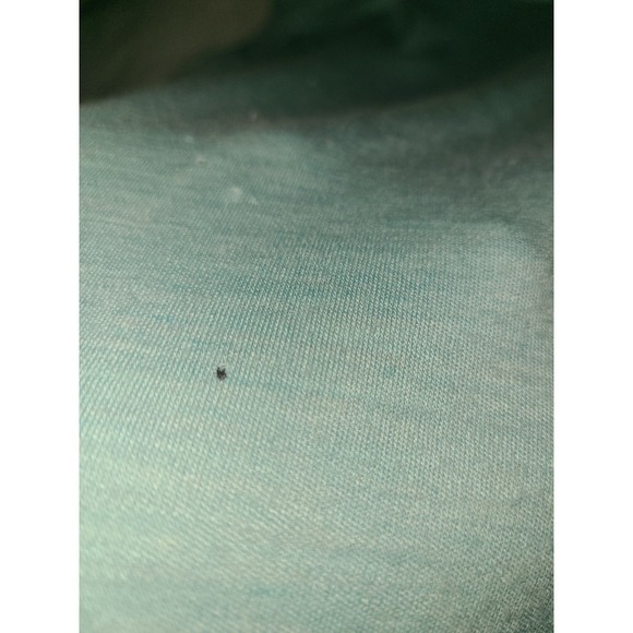 Smartwool Merino Wool 250 Base Layer Shirt Womens Small Teal Hole READ - Picture 10 of 16